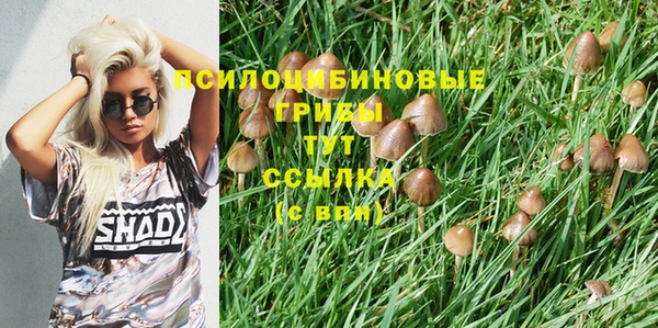 ГАЛЛЮЦИНОГЕННЫЕ ГРИБЫ Абдулино