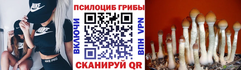 Псилоцибиновые грибы ЛСД  Анадырь 